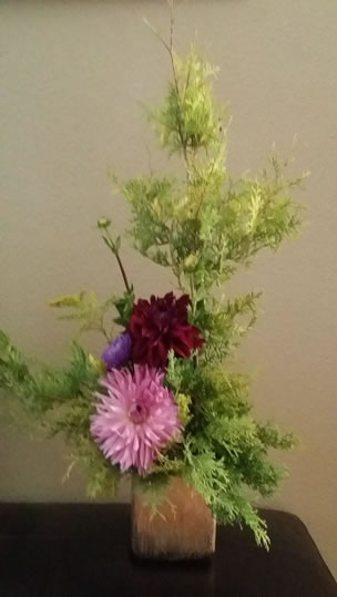 Red & Pink Dahlias